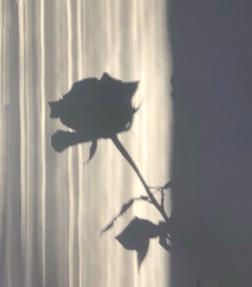 Photograph by Марина