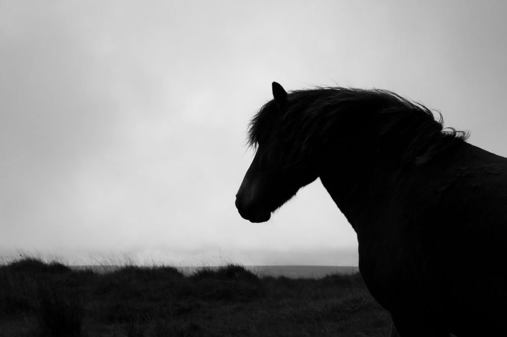 Photograph by Chay Haley