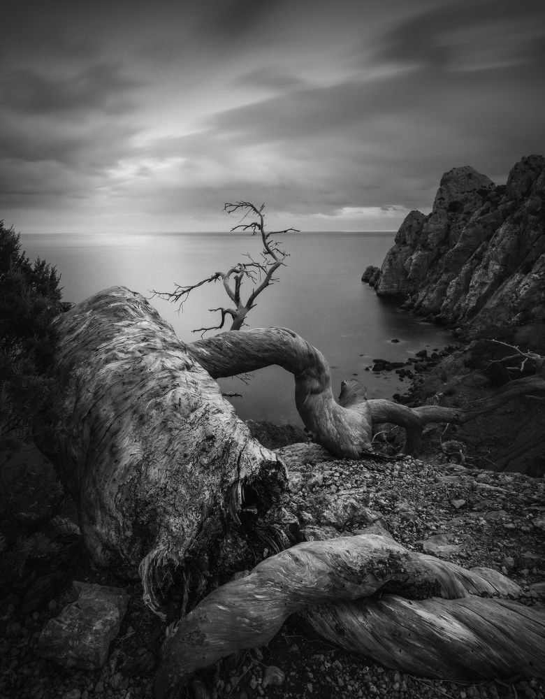 Вечерние монстры Нового Света.