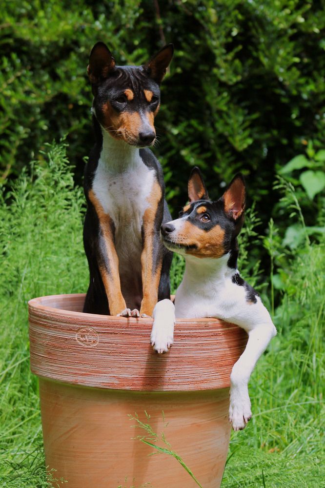 Photograph by Диана Ульянцева