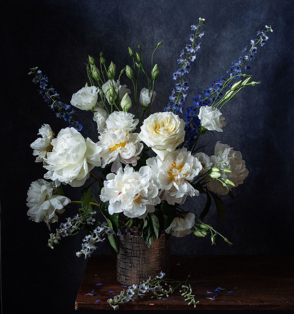 Фотография автора Алина Ланкина