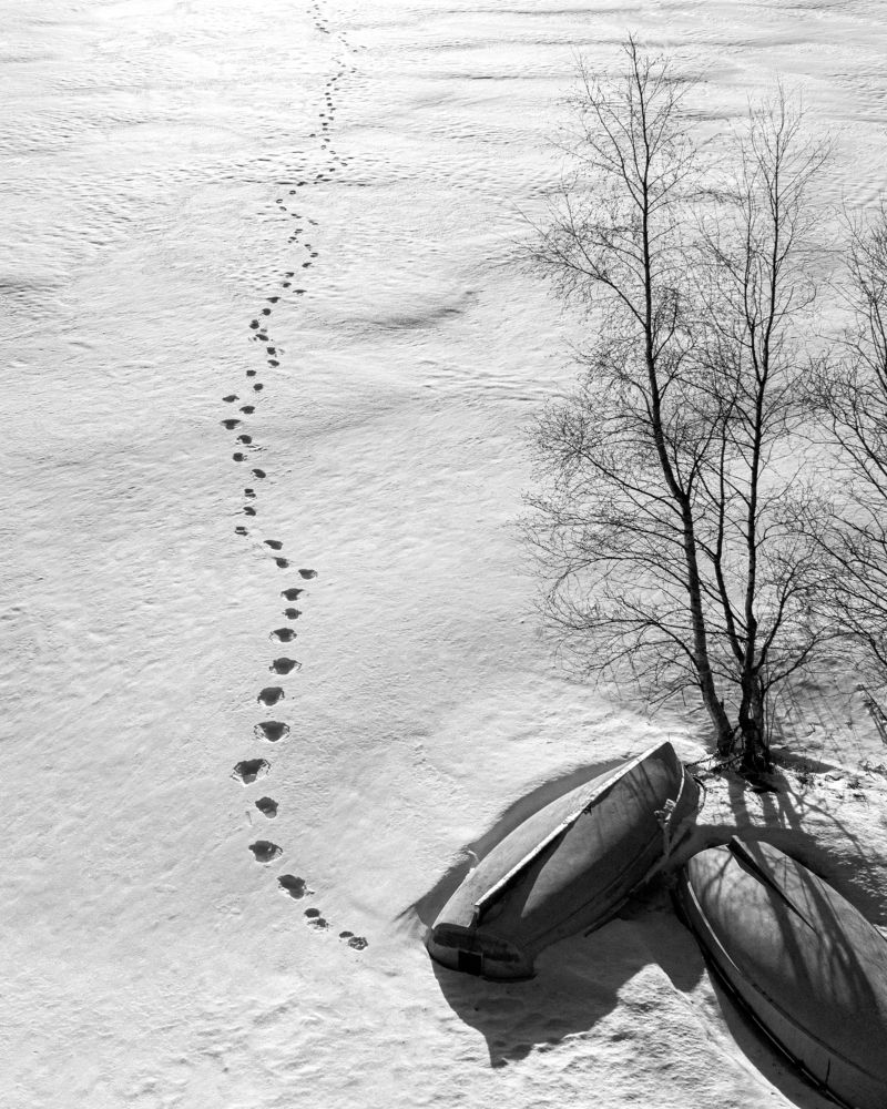 Фотография автора Алексей Туренков