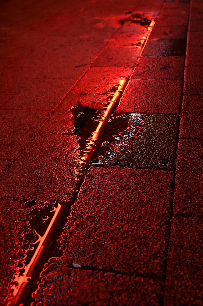 Photograph by Lyuben Zehtinski