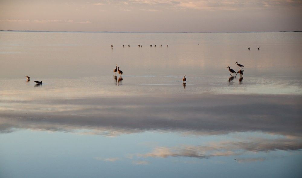 Photograph by Reenum Gounden