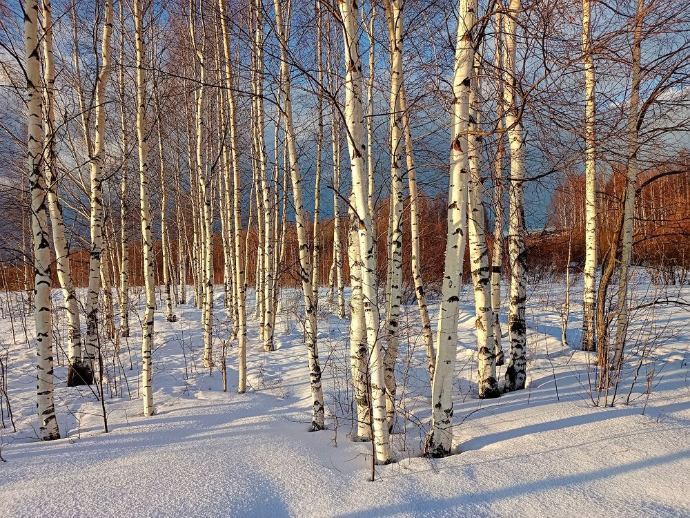 Photograph by Марина Мурашова