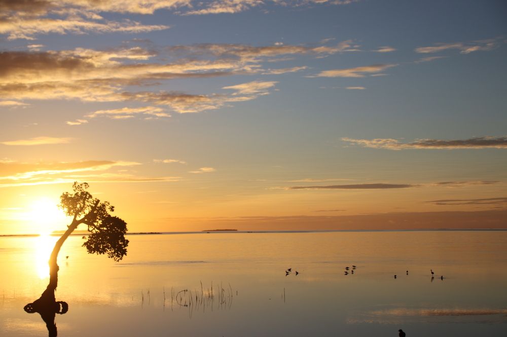 Another sunrise, another new beginning.