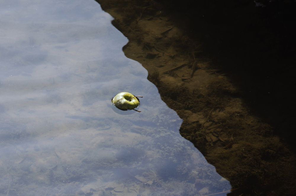 Photograph by Serhii Титов