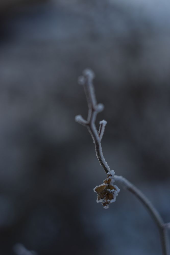 Photograph by Наталья Ткаченко