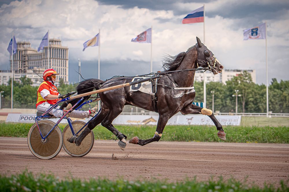 Фотография автора Ольга Руднева