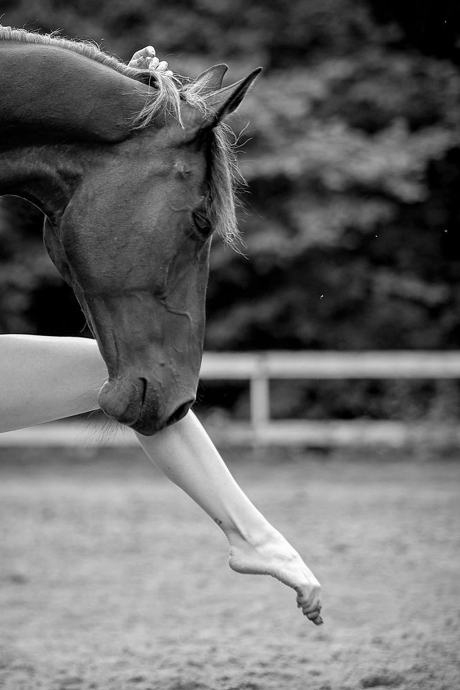 Грация и сила