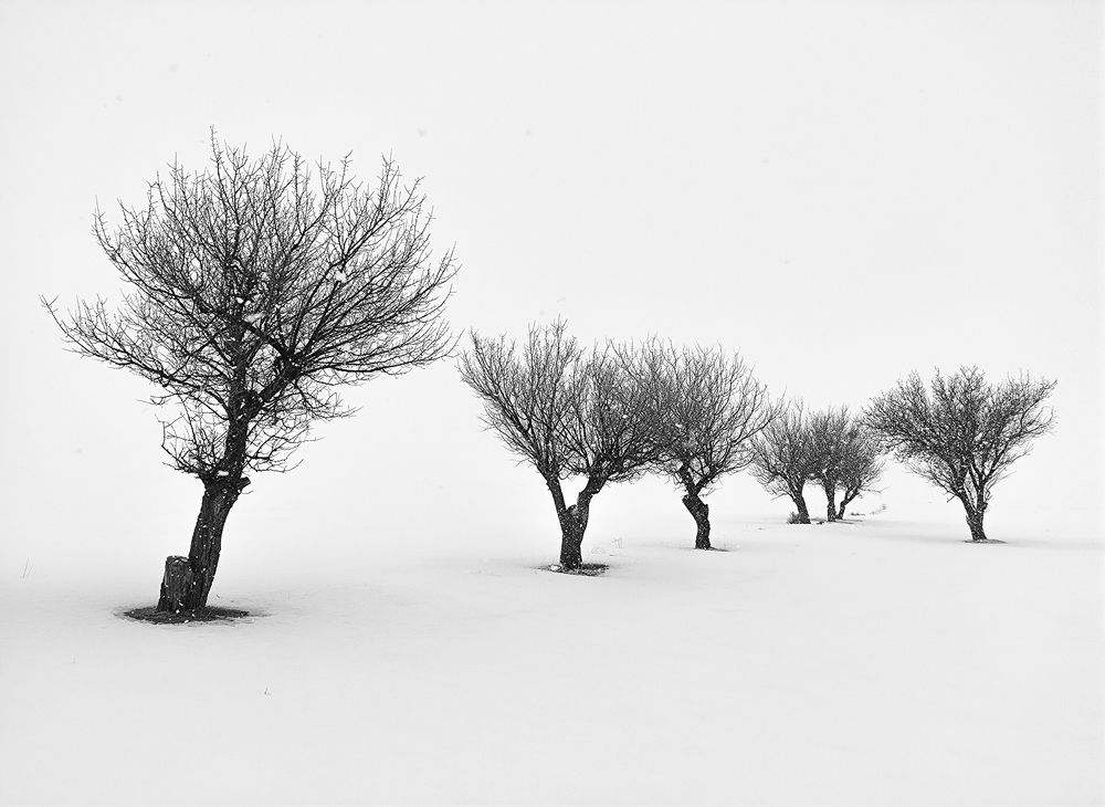 Photograph by Dorota Polat