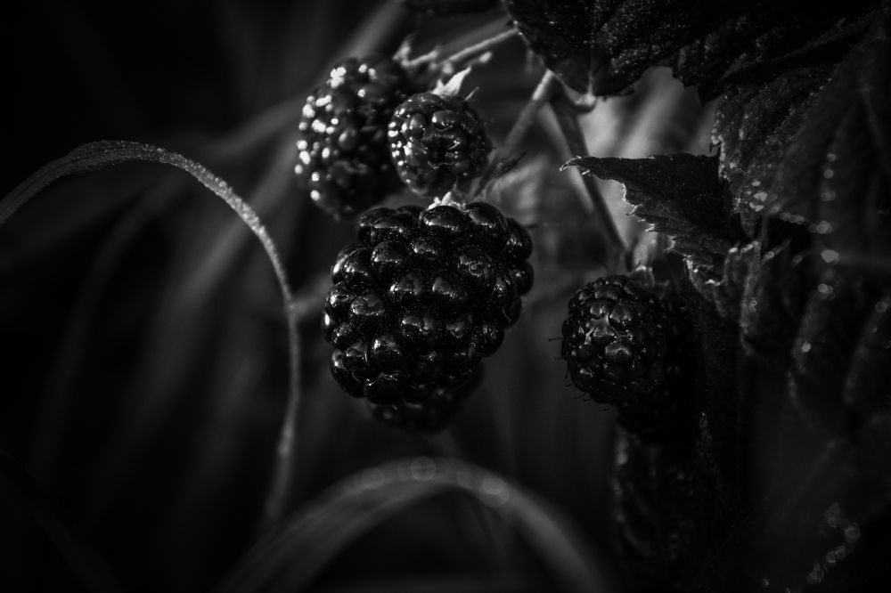 Photograph by Мария Колоскова