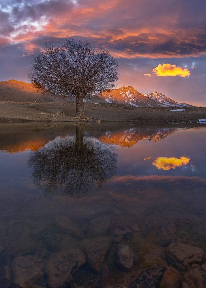 Фотография автора majid arab