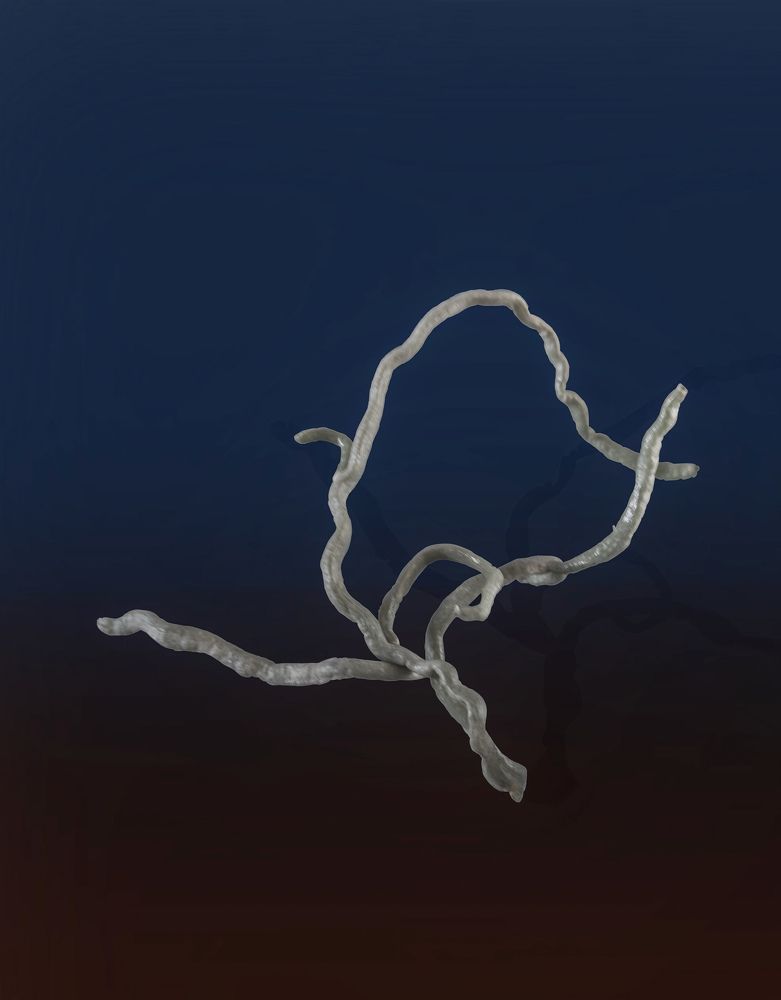 Photograph by Раиса Ламли