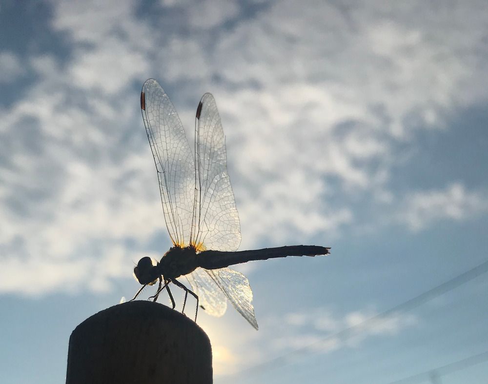 Photograph by Саровская Ника