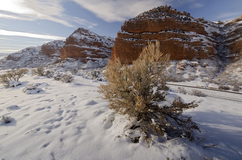 Photograph by Михаил