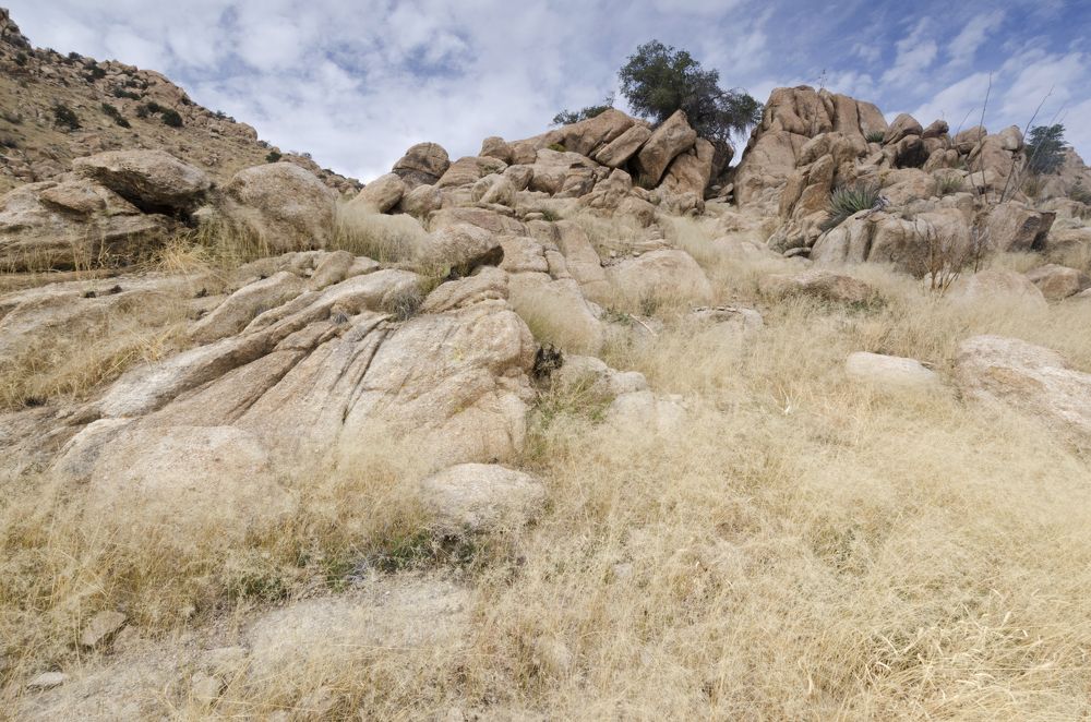 Photograph by Михаил