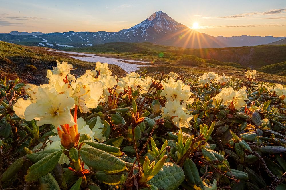 Photograph by Денис Будьков