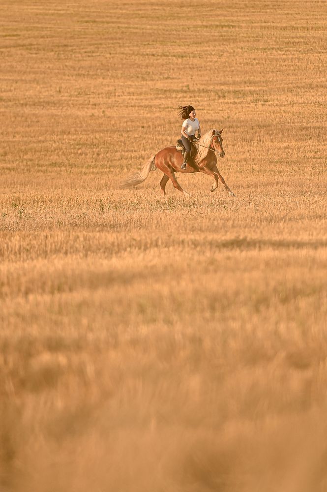 Фотография автора Ольга Руднева