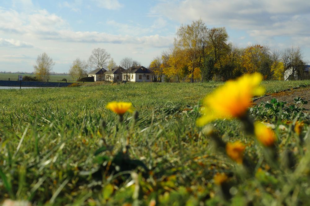 Photograph by Екатерина