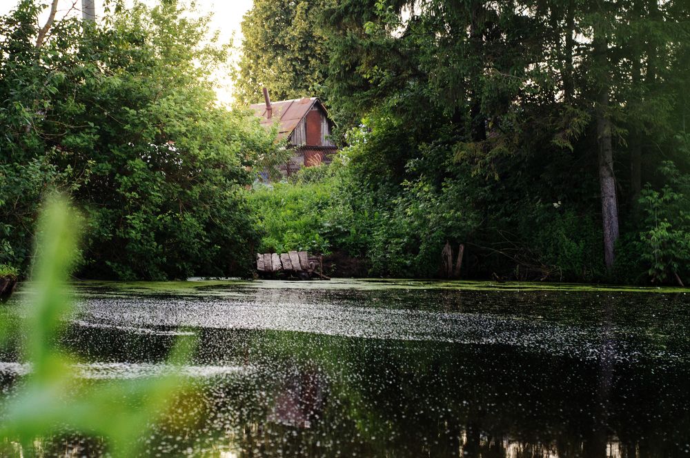 Photograph by Екатерина