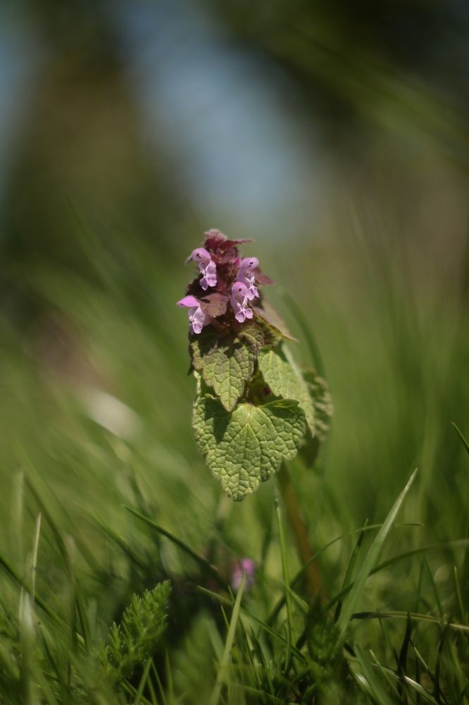 Photograph by Наталья Комарова