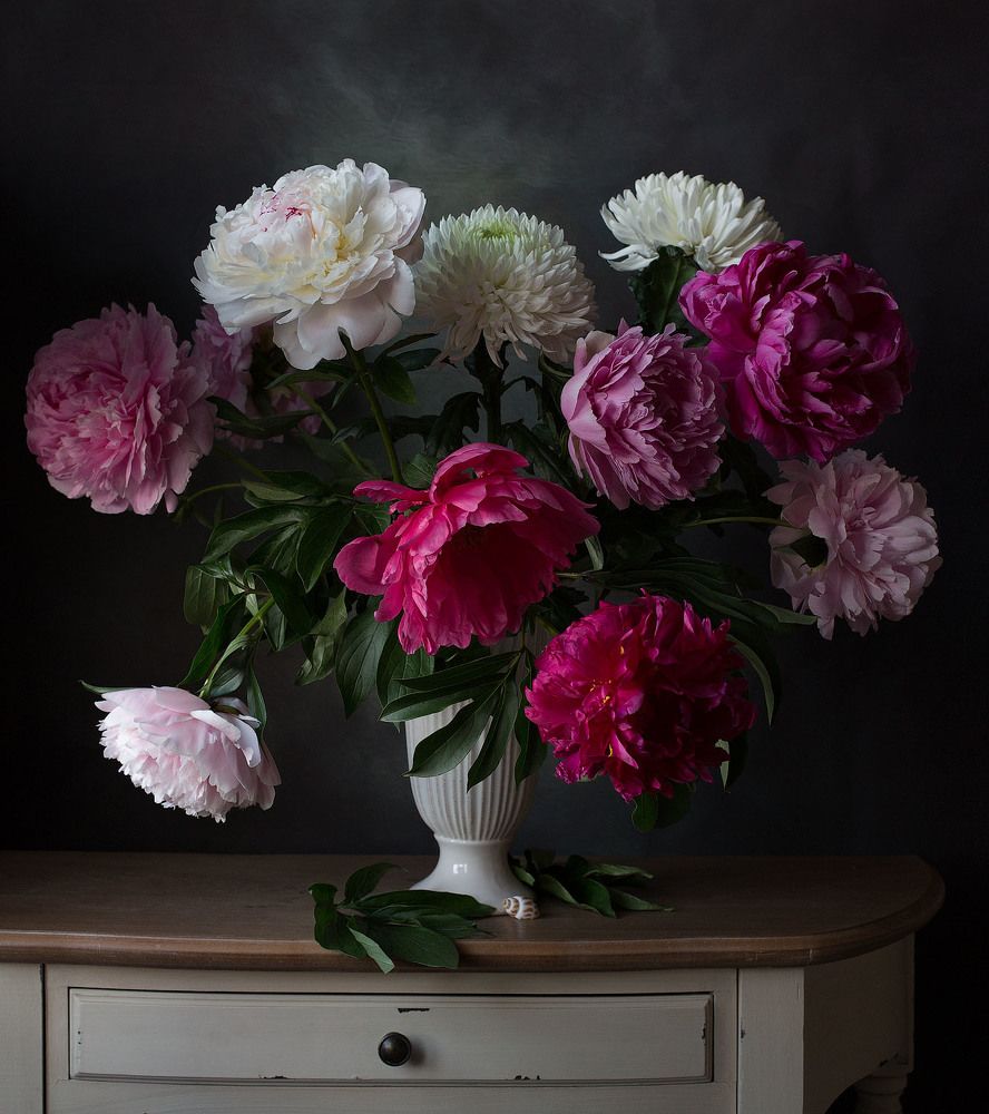 Фотография автора Алина Ланкина