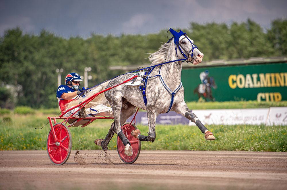 Фотография автора Ольга Руднева
