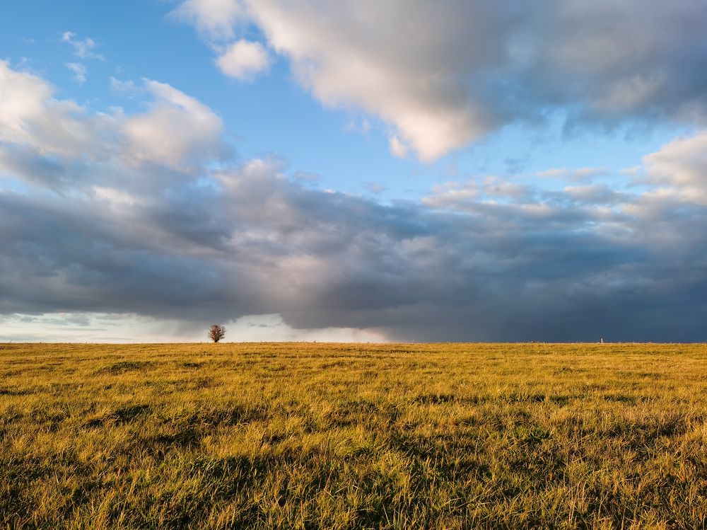 Photograph by Ульяна Рожнова