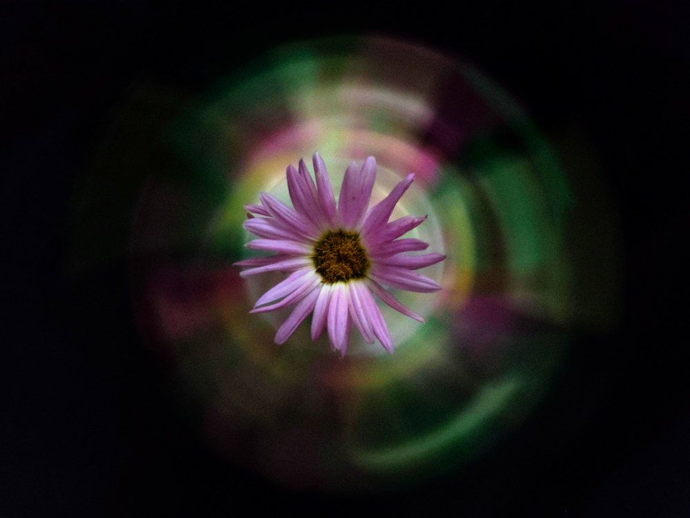 Заморозка движения