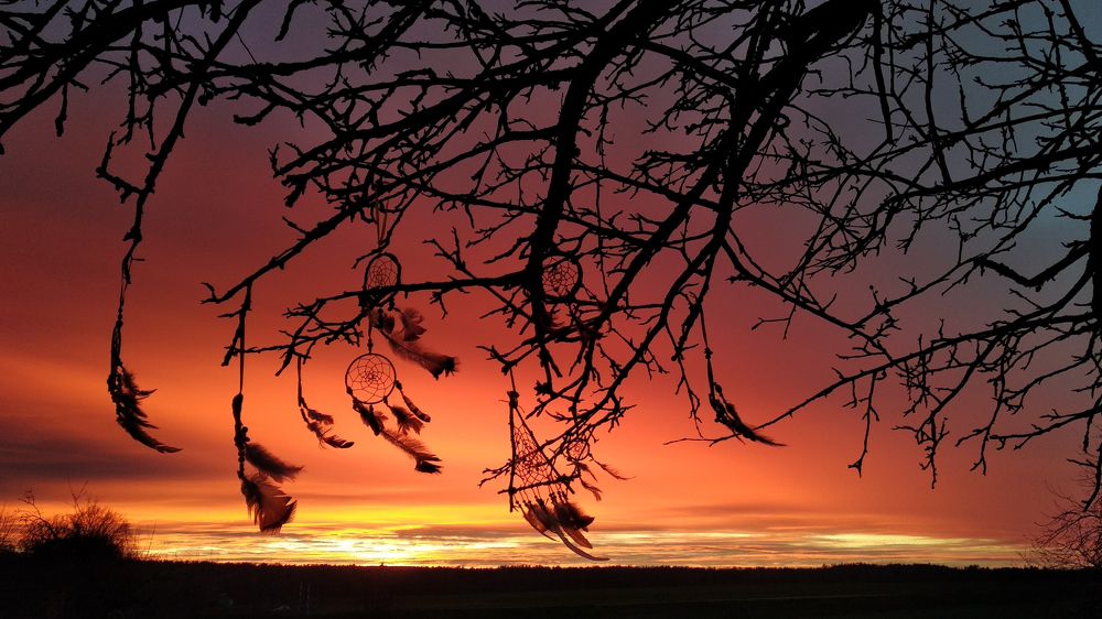 Ловцы снов на фоне заката