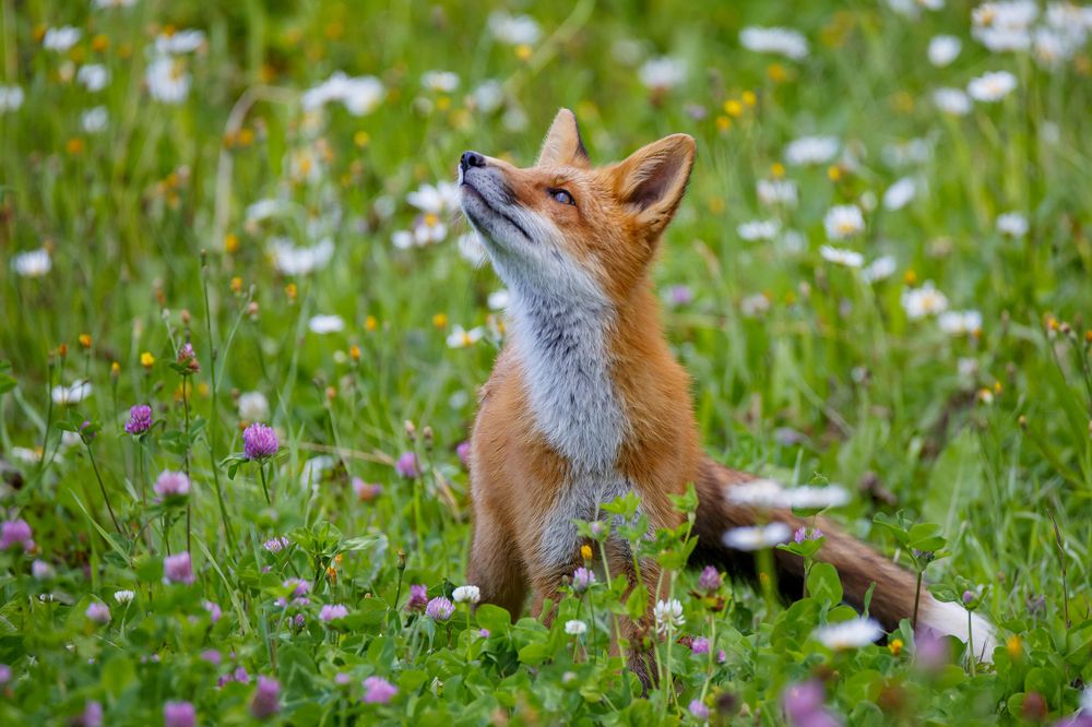 Photograph by Денис Будьков