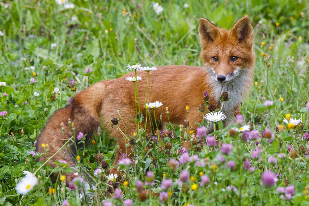 Photograph by Денис Будьков