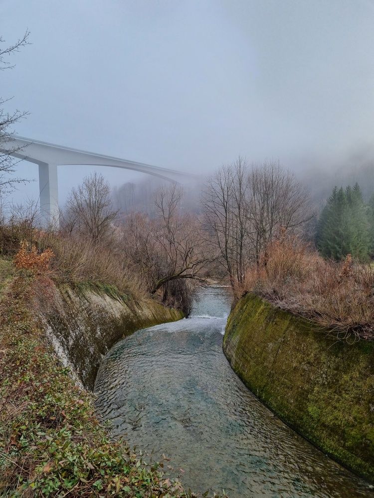 Photograph by Светлана