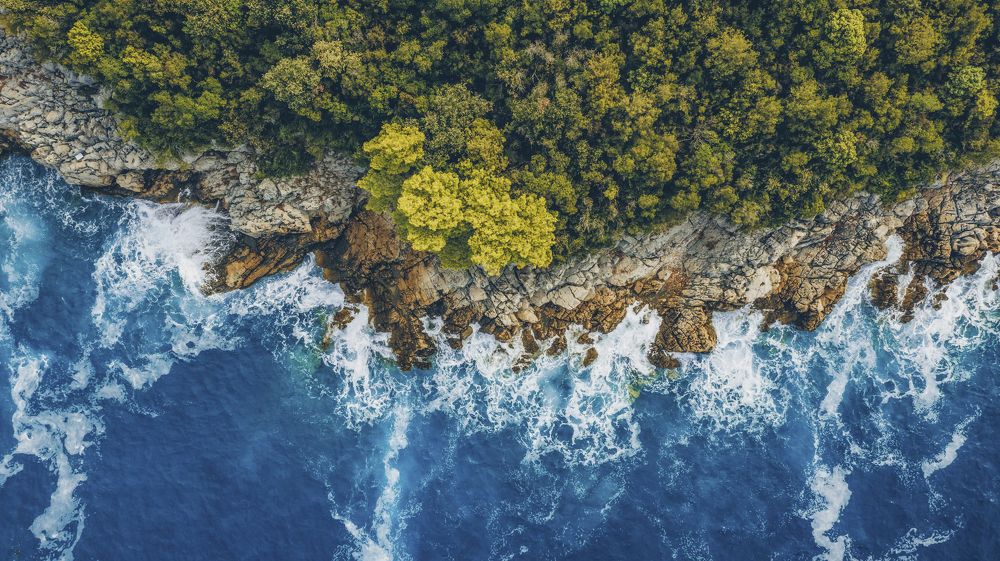 Photograph by Alexey Nikitin