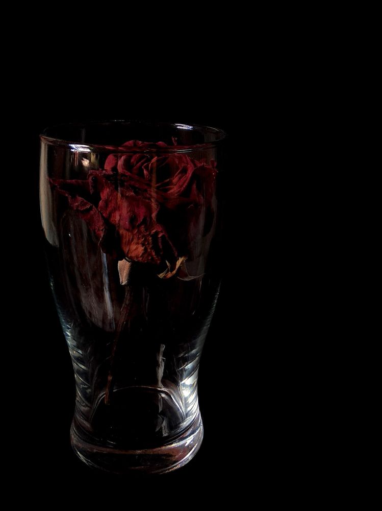 Photograph by Анна Евдокименко