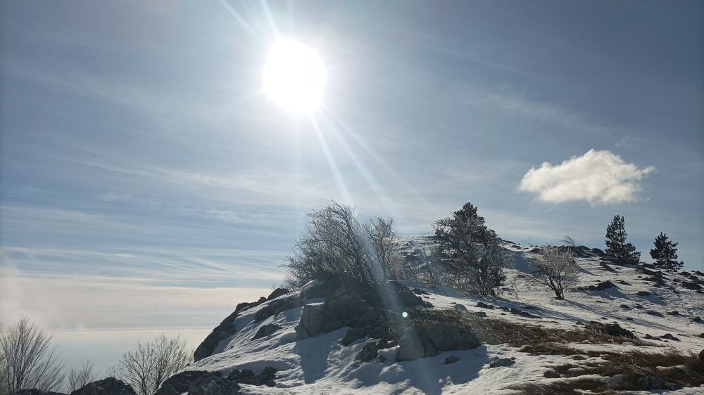 Photo #7309262