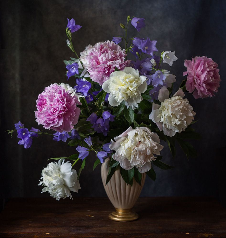 Фотография автора Алина Ланкина