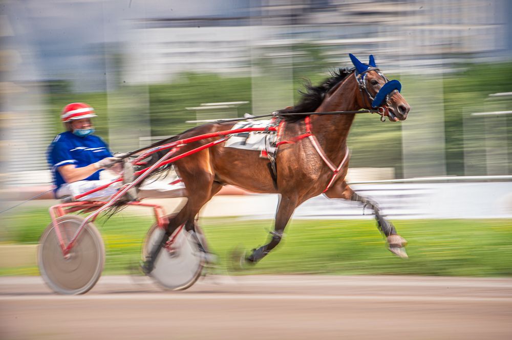 Фотография автора Ольга Руднева