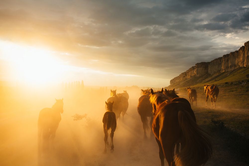 Photograph by Альбина Сагитова