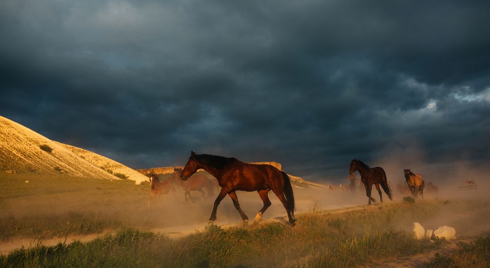 Photograph by Альбина Сагитова