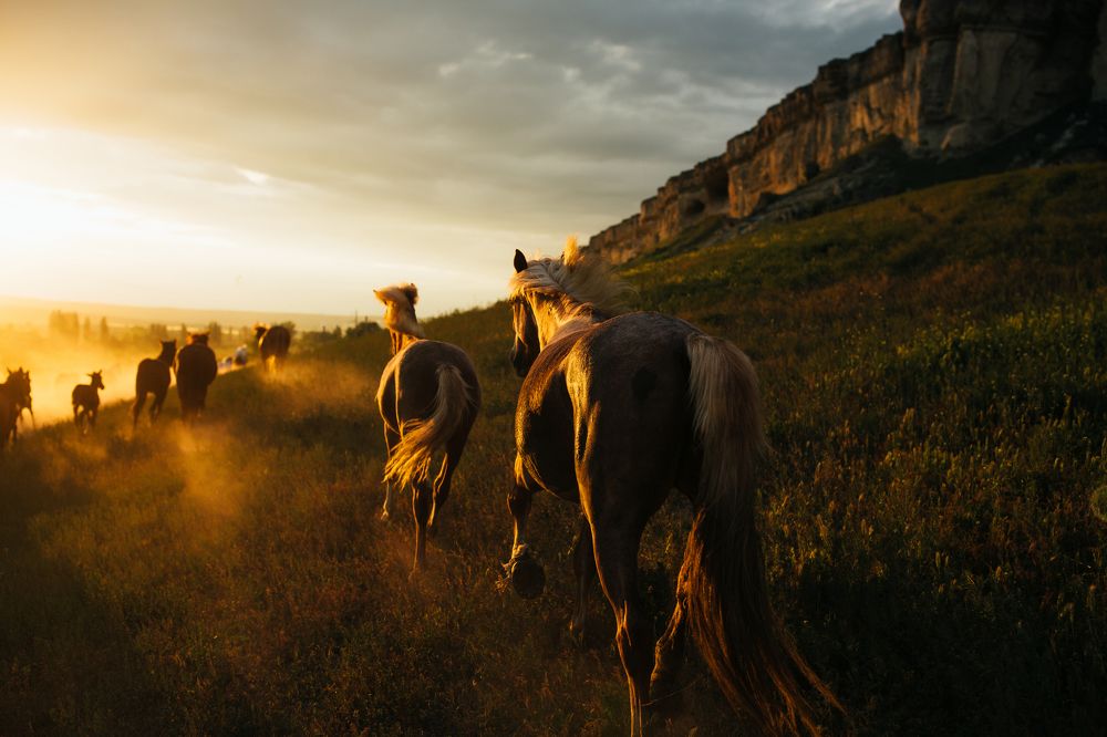 Photograph by Альбина Сагитова