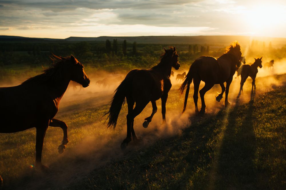 Photograph by Альбина Сагитова