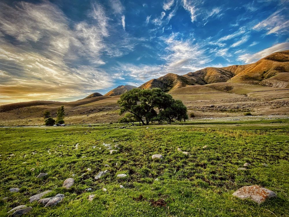 Photograph by Alena Kochergina