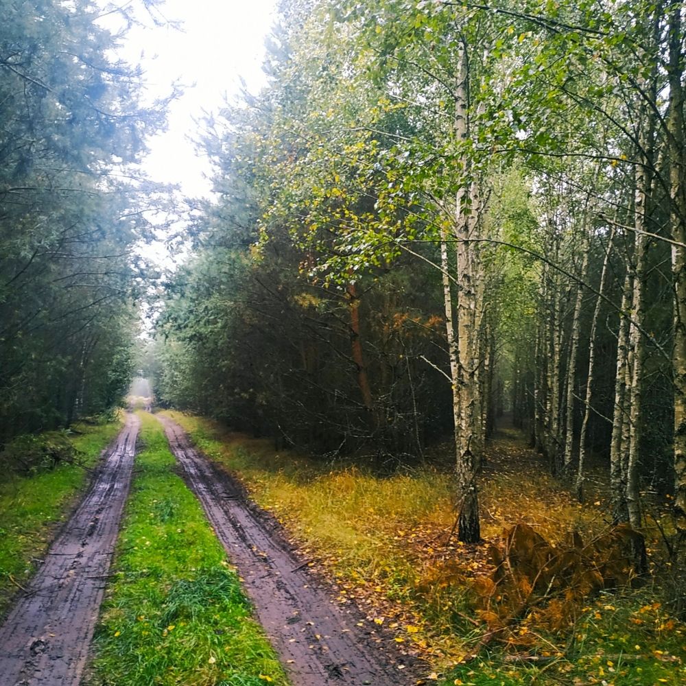 Photograph by Валентина