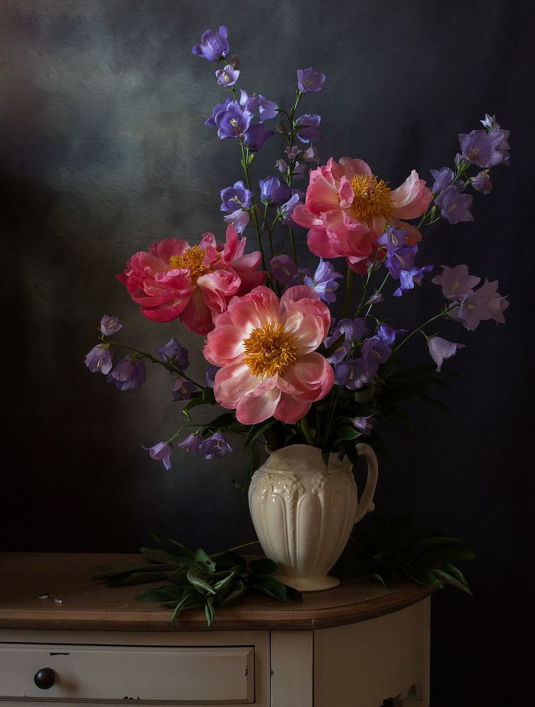 Фотография автора Алина Ланкина