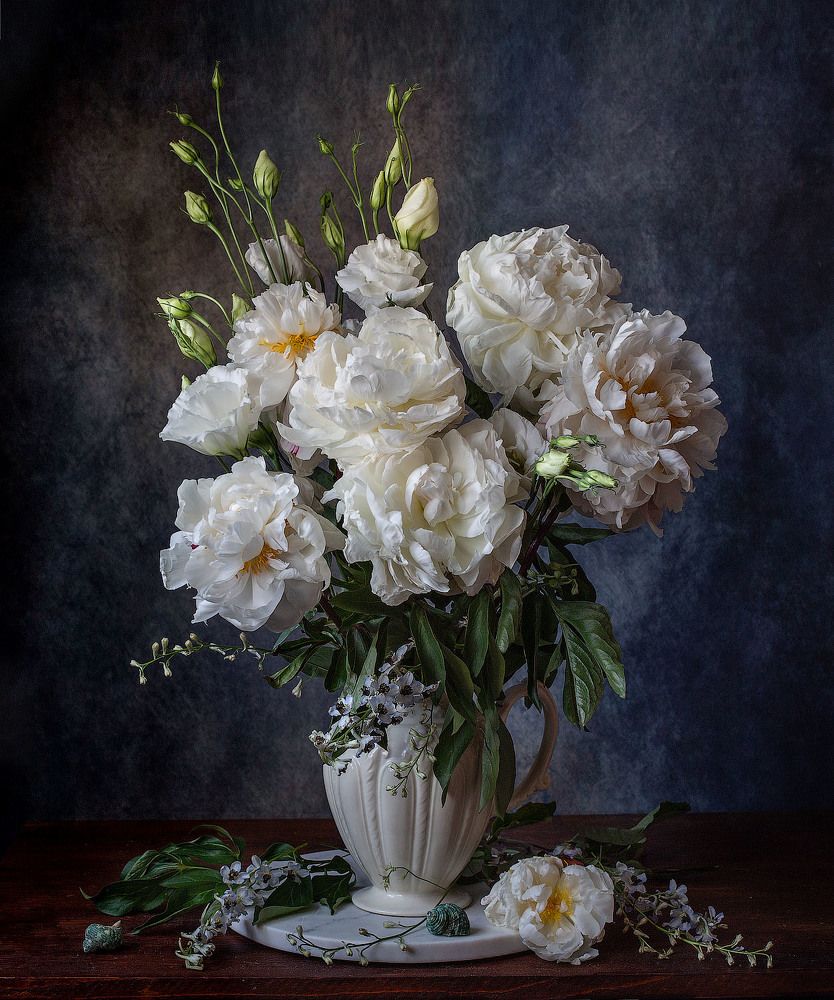 Фотография автора Алина Ланкина