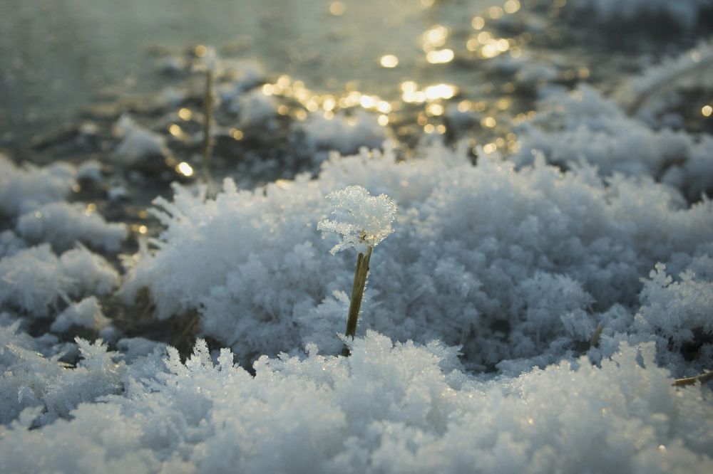 Photograph by Юлия Кононова