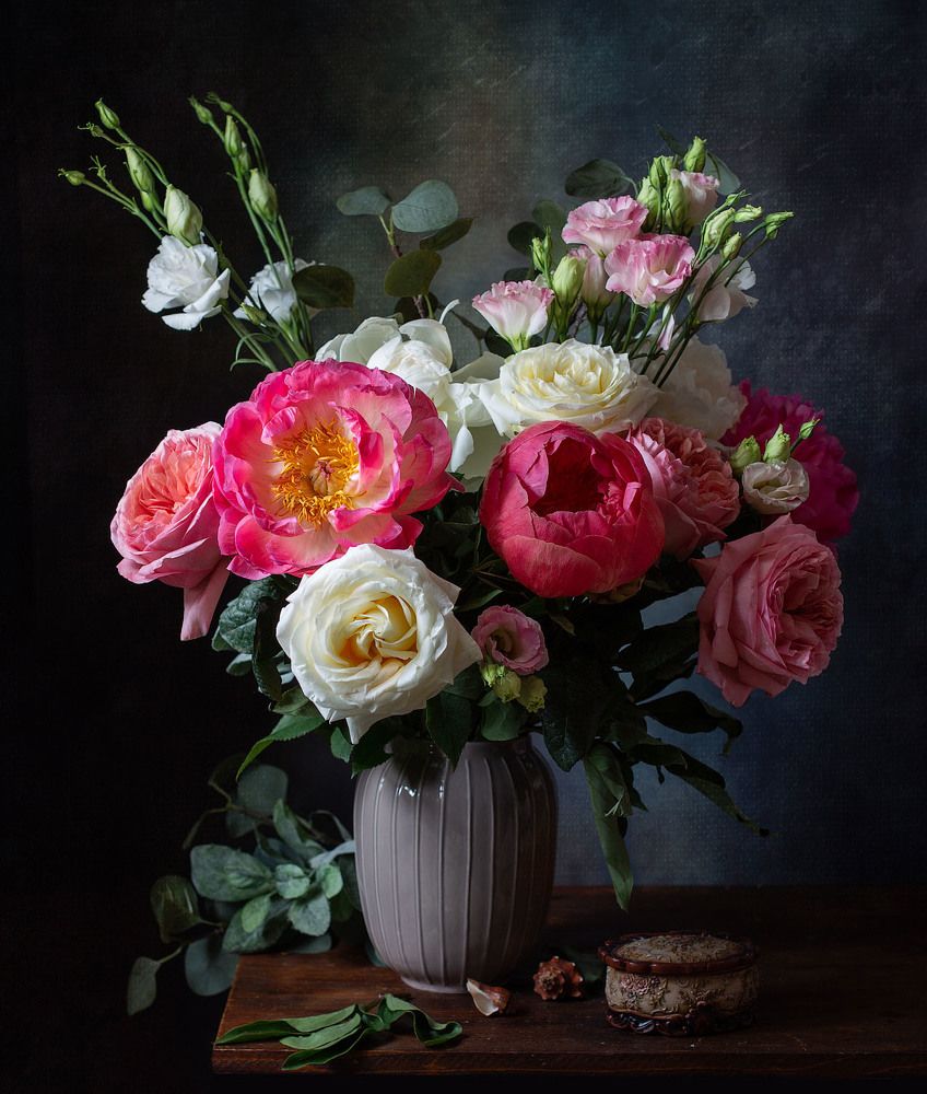 Фотография автора Алина Ланкина