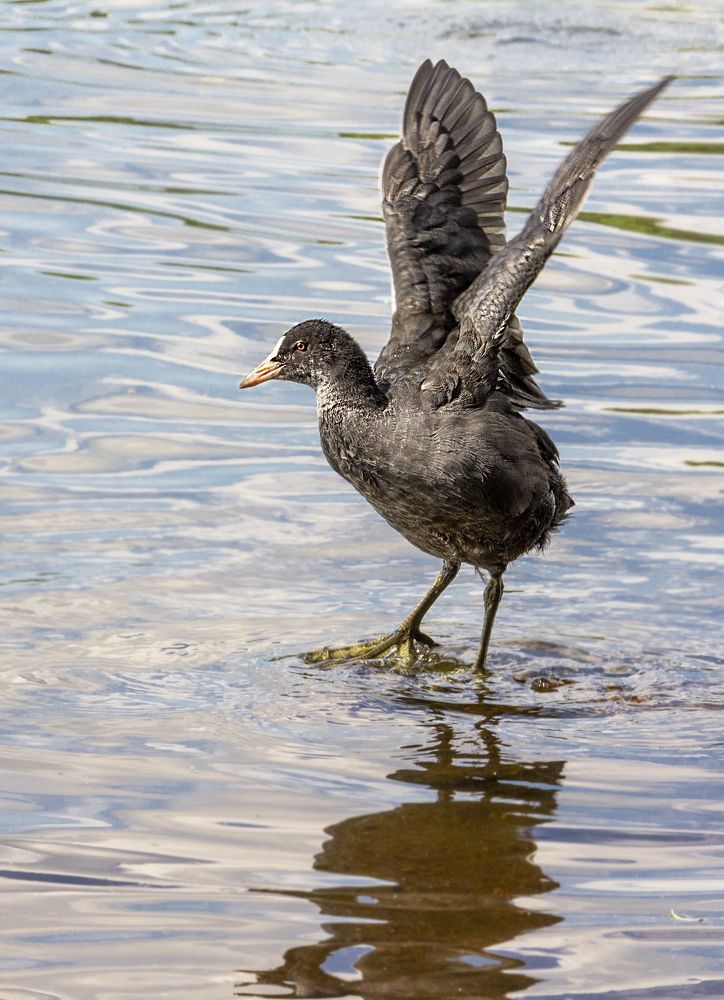 Photograph by Волдыкова Людмила